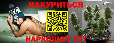 альфа пвп Краснодар