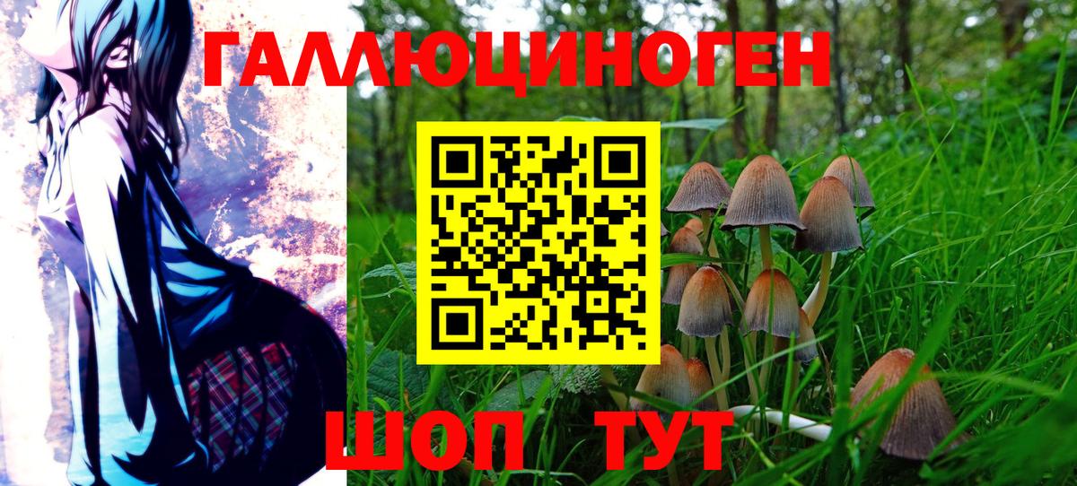 Добрянка  Псилоцибиновые грибы MAGIC MUSHROOMS  Псилоцибиновые грибы Cubensis  Вход с VPN 