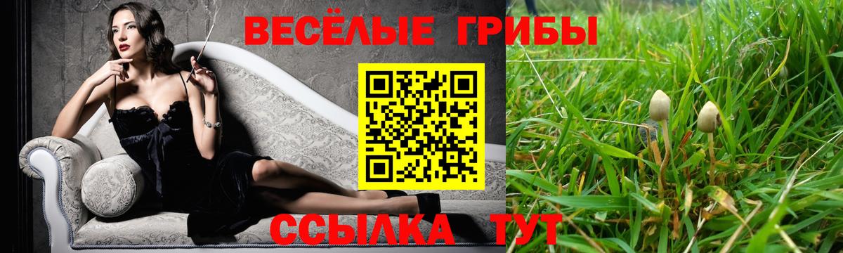Псилоцибиновые грибы Cubensis Добрянка