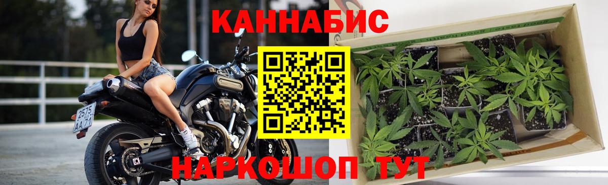 МАРИХУАНА сатива  Вход с VPN  Конопля MAZAR  Добрянка  Марихуана Bruce Banner 
